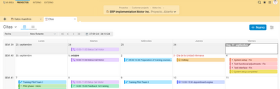 En el calendario de proyectos puede ver todas las citas del proyecto