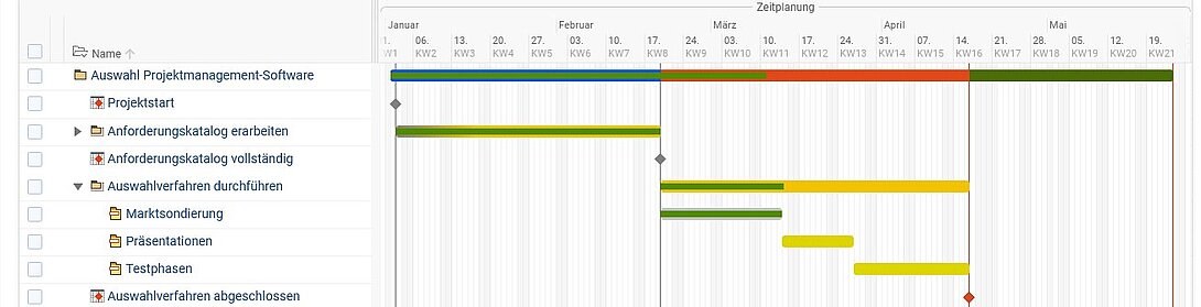 Auswahl Projektmanagement-Software Schritt 4