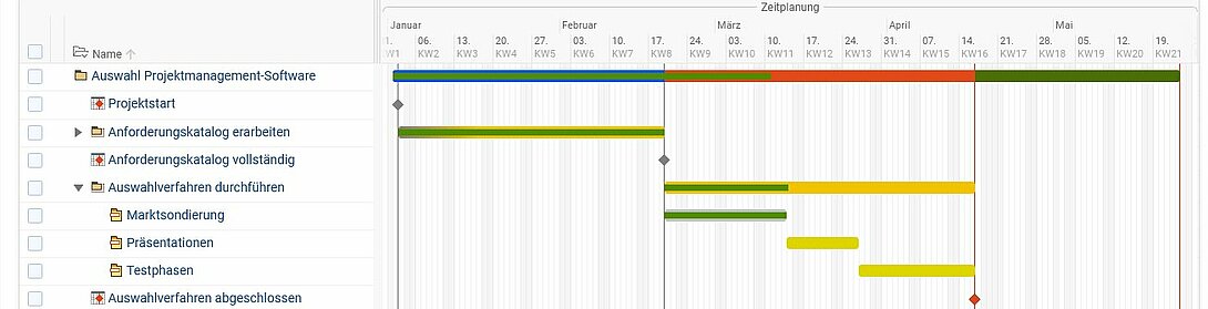 Auswahl Projektmanagement-Software Schritt 4