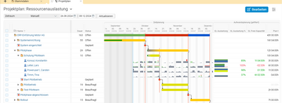 Projektplan mit Ressourcenauslastung in BCS