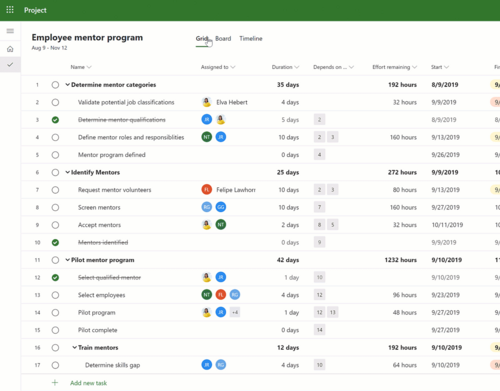 Screenshot project plan in MS Project