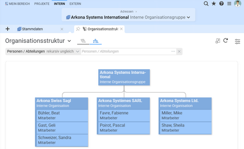 Organigramm einer Organisationsgruppe in BCS