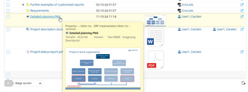 Almacenamiento de archivos en Projektron BCS