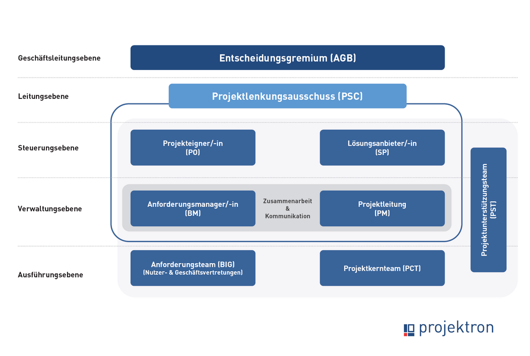 Schema Projektorganisation nach PMflex