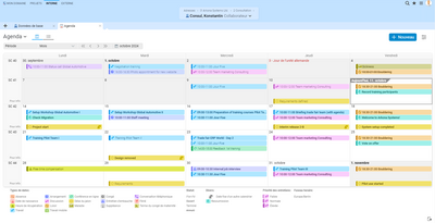 Agenda dans Projektron BCS