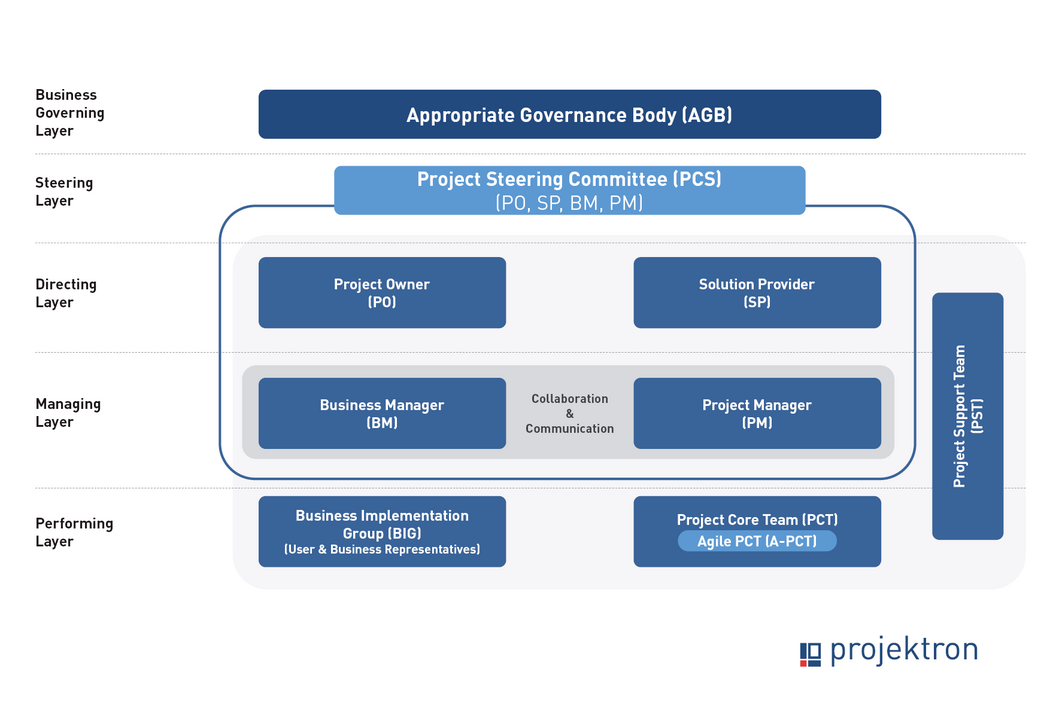 Scheme of project organization according to PMflex