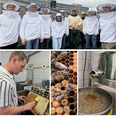 Impressions from the 2026 beekeeping course: Eight Projektronis joined Dr. Kohfink to learn about working with bee colonies, harvesting honey, processing beeswax and checking for varroa mites. Impressions from the 2026 beekeeping course: Eight Projektronis joined Dr. Kohfink to learn about working with bee colonies, harvesting honey, processing beeswax and checking for varroa mites.