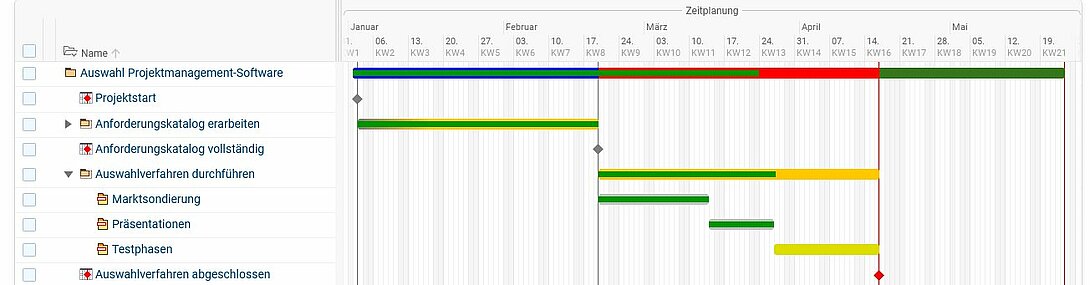 Auswahl Projektmanagement-Software Schritt 5