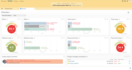 The project overview provides you with concise project details