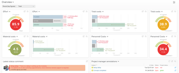 The project overview provides you with concise project details