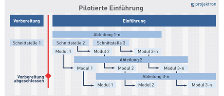 Schema pilotierte Softwareeinfuehrung