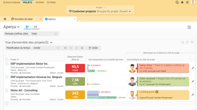 Evaluation graphique de projets multiples dans Projektron BCS