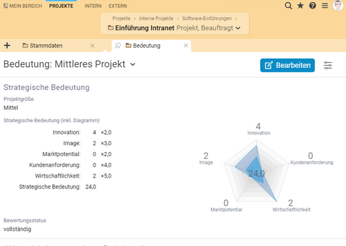 Analyse der strategischen Bedeutung in Projektron BCS