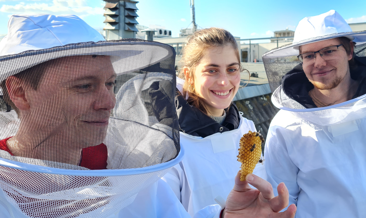 Projet d'apiculture de Projektron GmbH dans le cadre de son engagement écologique et social pour la protection de l'environnement.